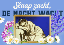 Local Tea De Nacht Wachtl Thee (18 zakjes)