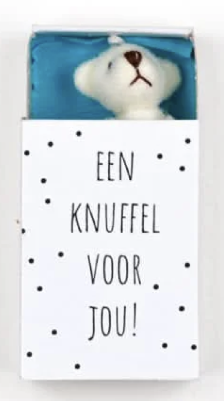 Doosje: Beertje: Een Knuffel voor Jou!