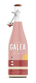 Galea Sangria Red uit Barcelona