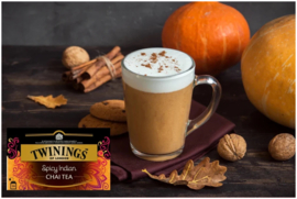 Twinings Thee Spicy Indian Chai 20 stuk.