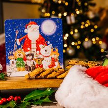 Farmhouse Santa, Cat & Dog