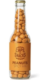 Pindapils Spicy Mix in Glazen Bierflesje