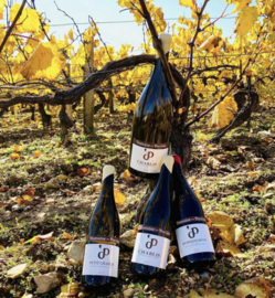 Wijn Wit Domaine de la Perrière Chablis (Frankrijk)
