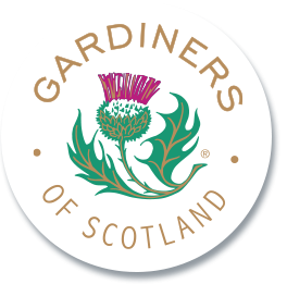 Gardiners of Scotland Sheep for all Seasons Salted Caramel Fudge  (Karton.)