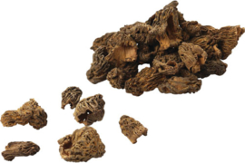 Morilles / Morieltjes gedroogd 25 gram