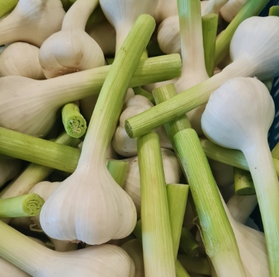 Biesheuvel Gehakte Verse Knoflook