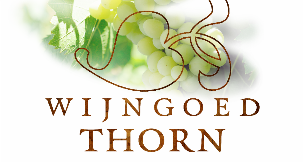 Wijn Rood Wijngoed Thorn Dornfelder (Nederland)