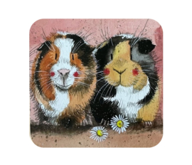 Alex Clark Onderzetter The 2 Guineas Cavia's (PER STUK)