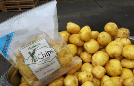 *Hoeksche Chips Naturel met Zeezout DOOS 10 zakken