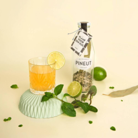 Pineut Klaar voor een kus FLES (Limoncello variant)