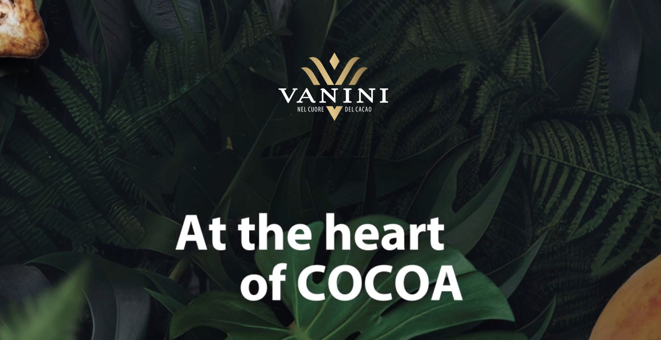 Vanini