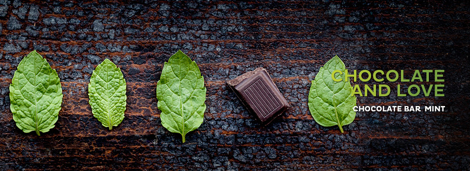 Chocolate and Love Chocolate and Love