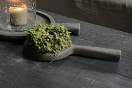 Kransje juniperus 15 cm