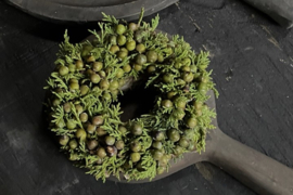 Kransje juniperus 15 cm
