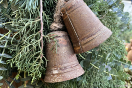 Bel roest, 10 cm