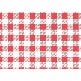 Rood Gingham vetvrij papier 31x38cm