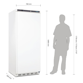 POLAR C-SERIE 1-DEURS VRIEZER WIT 600L