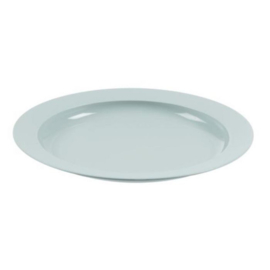 Bioplastic, Melamine en Polycarbonaat servies 