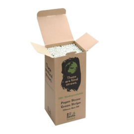 Fiesta Green composteerbare papieren rietjes groen-wit gestreept