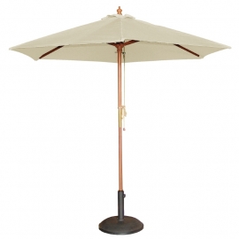 PARASOLS