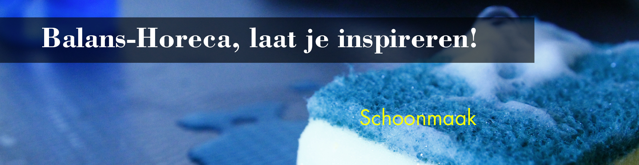 schoonmaak