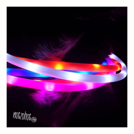 Halsband hond | LED