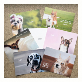 Beterschap Hond | Ballen eraf  | De sigaar