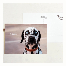 Beterschap Hond | Paffen & Kanen