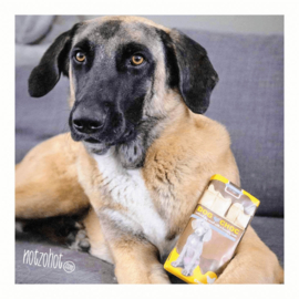 Cadeau hond XL | Zuip, Paf, Kaanpakket