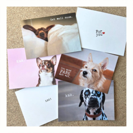 Beterschap Hond | De Sigaar