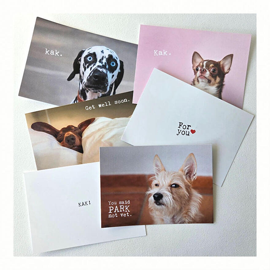 beterschap kaarten hond