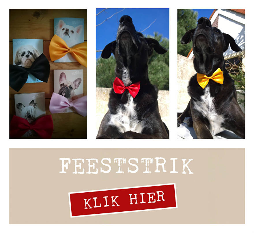 Feeststrik voor honden in vier kleuren verkrijgbaar.