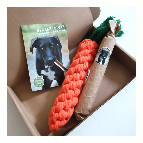 hond met overgewicht cadeau