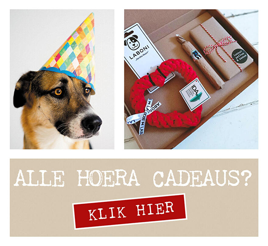 hond jarig cadeau