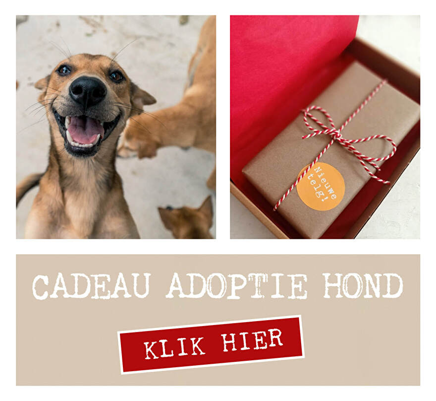 Natuurlijke hondensnacks cadeau adoptie hond nieuwe hond