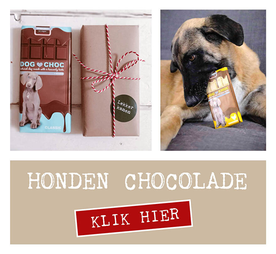 honden chocolade