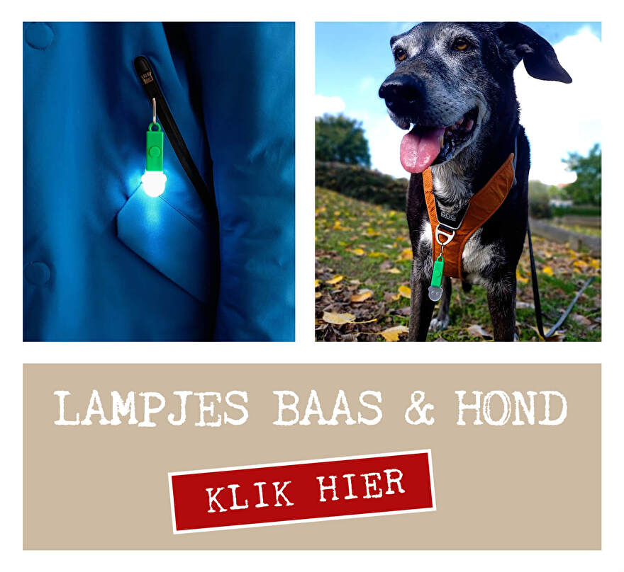 verlichting hond