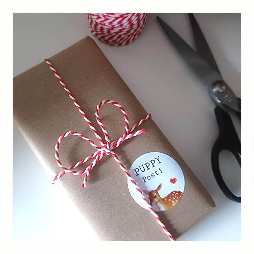 brievenbus cadeau hond felicitatie puppy