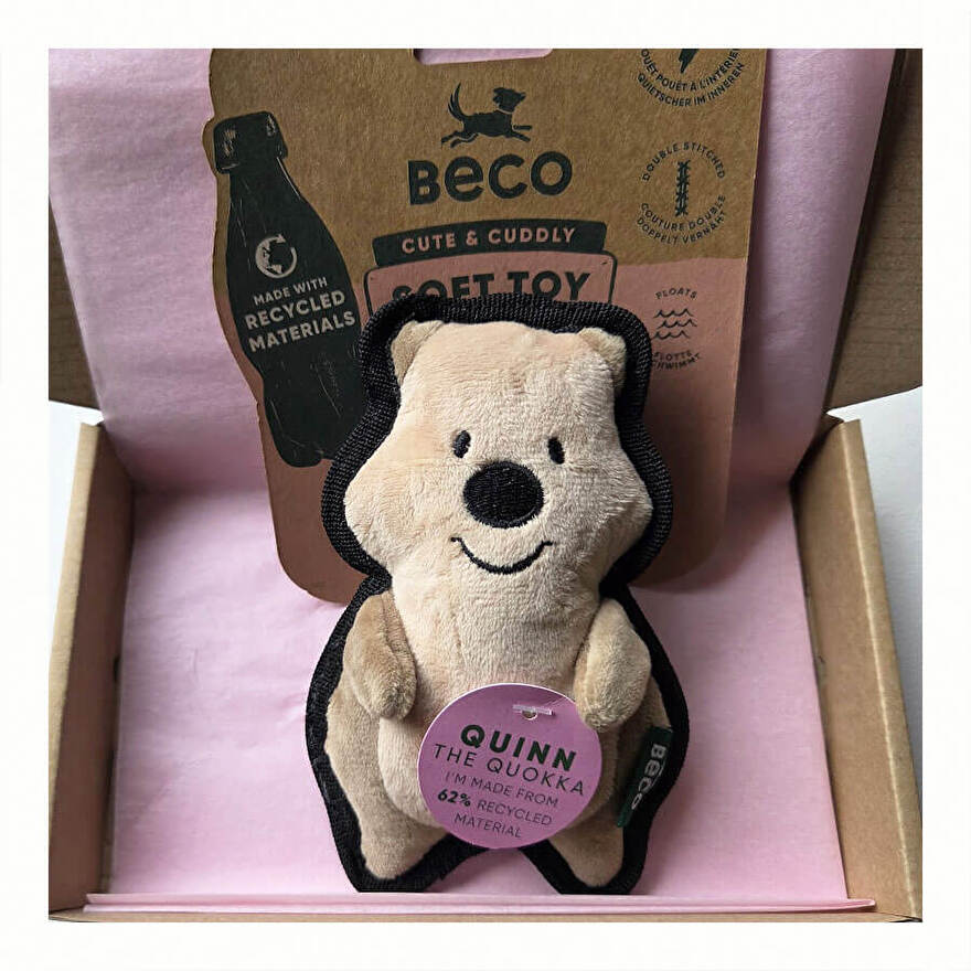 Quokka Beco Quinn