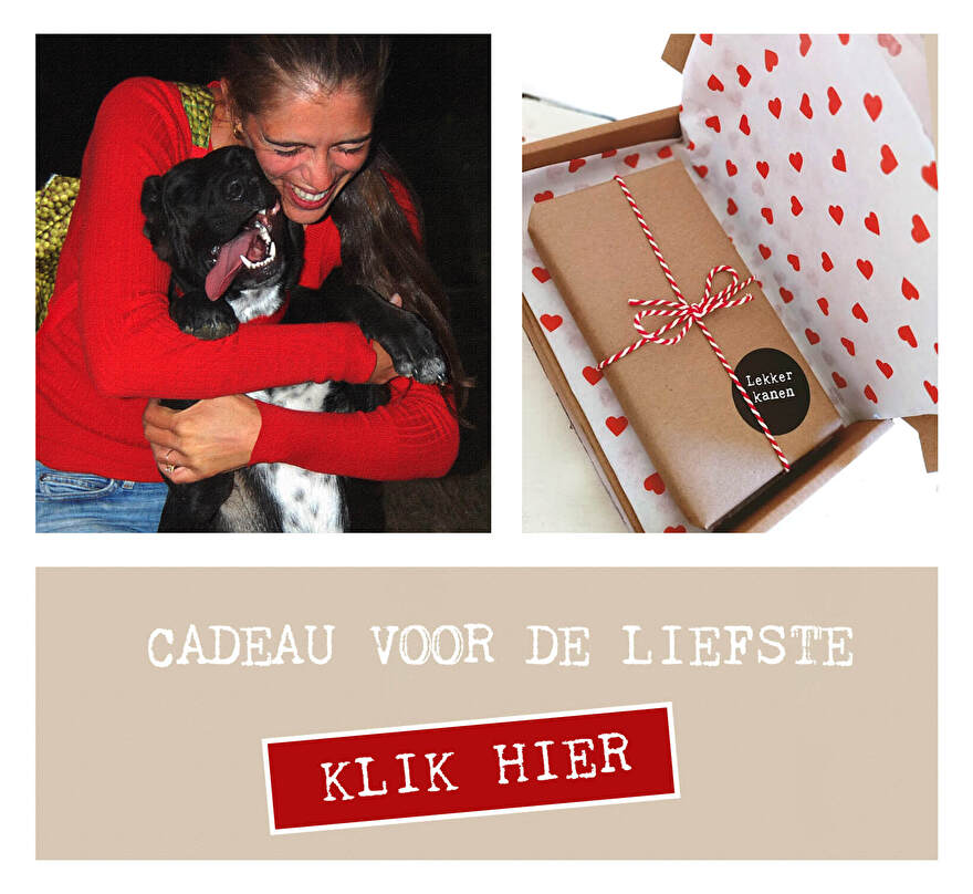 Valentijnscadeau hond Valentijnsdag hond