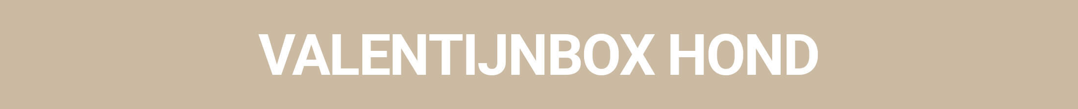 Valentijnsbox hond