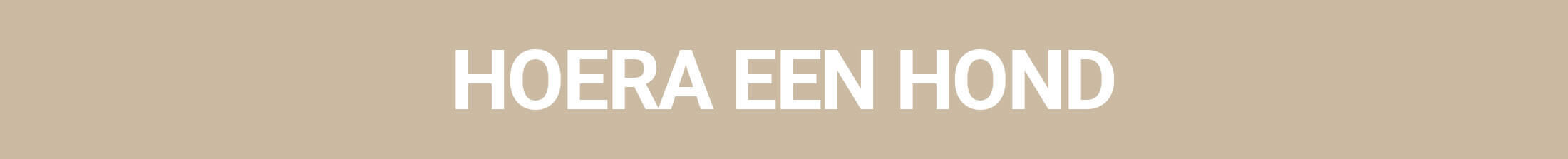 Hoera een hond