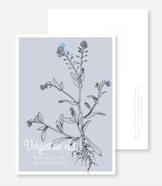 Postcard 'Vergeet me niet'