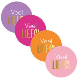4 kadostickers 'veel liefs!' (5 cm)
