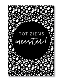 Mini kaartje: tot ziens meester! (S)