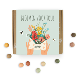 doosje vol zaadbommetjes 'Bloemen voor jou!'