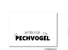 Postcard: wat ben jij een PECHVOGEL