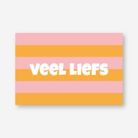 Mini kaartje 'veel liefs' (K)