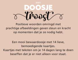 Doosje Troost (met 14 lieve, bemoedigende kaartjes)