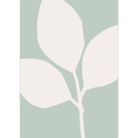Botanic wenskaart, Salie